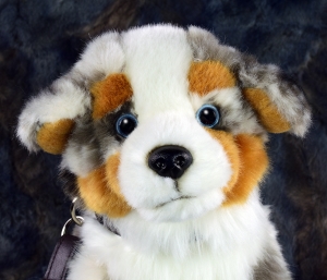 Australian Shepherd sitzend 26 cm